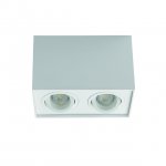 Накладные прямоугольные светильники Kanlux GORD DLP 250-W (25473)