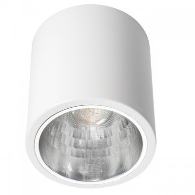 

Накладной точечный светильник Kanlux NIKOR DLP-60-W (7210), NIKOR DLP-60-W (7210)