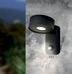 Уличный настенный светильник светодиодный PALOSCO Eglo 98738