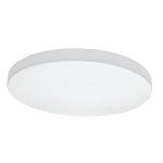 Светильник накладной светодиодный Lightstar 225204 Arco 20W 4000K