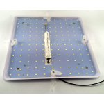 Светильник накладной светодиодный Lightstar 226204 Arco