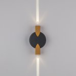Светильник светодиодный уличный Dito Lightstar 380623