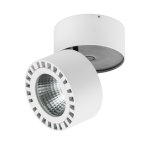 Светильник накладной светодиодный Lightstar 381364 Forte