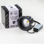 Светильник светодиодный уличный Ciclone Lightstar 385047