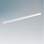 Светильник светодиодный Lightstar 450094 T5