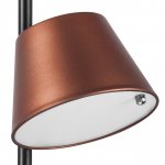 Люстра потолочная Cappe Lightstar 719223