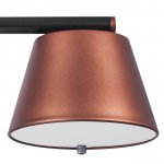 Люстра подвесная Cappe Lightstar 719233
