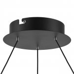 Люстра подвесная Rotonda Lightstar 736167