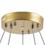 Люстра подвесная Rotonda Lightstar 736422