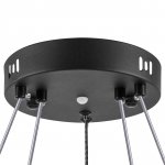Люстра подвесная Rotonda Lightstar 736427