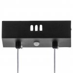 Люстра подвесная Rotonda Lightstar 736437
