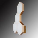 Светильник настенный Lightstar 750643 Favo