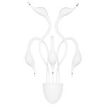 Светильник бра Lightstar 751656 Cigno Collo