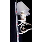 Люстра подвесная Lightstar 782080 Esedra