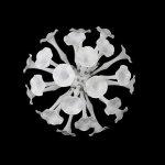 Светильник настенный Lightstar 891656 Bardano