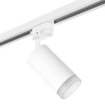 Комплект со светильником Rullo Lightstar R1T43630