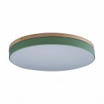 Потолочный светильник Loft it 10001/36 Green Axel