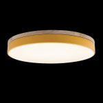 Потолочный светильник Loft it 10001/36 Yellow Axel