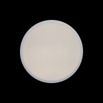 Потолочный светильник Loft it 10002/12 White Axel