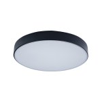 Потолочный светильник Loft it 10002/24 Black Axel