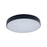 Потолочный светильник Loft it 10002/24 Black Axel