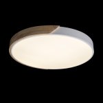 Потолочный светильник Loft it 10004/36 White Axel
