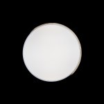 Потолочный светильник Loft it 10004/36 White Axel