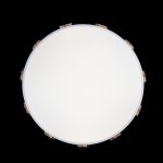 Потолочный светильник Loft it 10006/36 White Axel