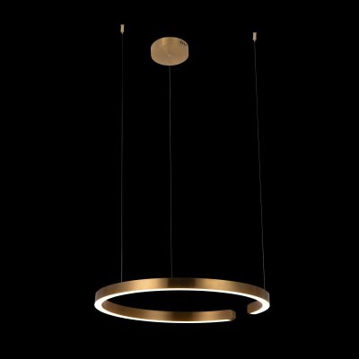 

Подвесной светильник Loft it 10013L Ring, 10013L
