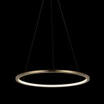 Подвесной светильник Loft it 10014M Ring