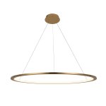 Подвесной светильник Loft it 10014L Ring