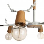 Потолочный светильник Loft it 10024/6 Black Sven