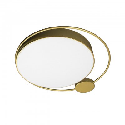 Потолочный светильник Loft it 10063 Mike