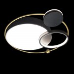 Потолочный светильник Loft it 10064 Mike