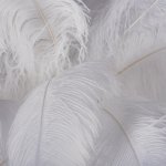 10067F/SG White Торшер LOFT IT Bijout