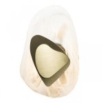 Настенный светильник бра Loft it 10102 Gold Sunwave