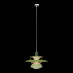 Подвесной светильник Loft it 10113 Green Floret