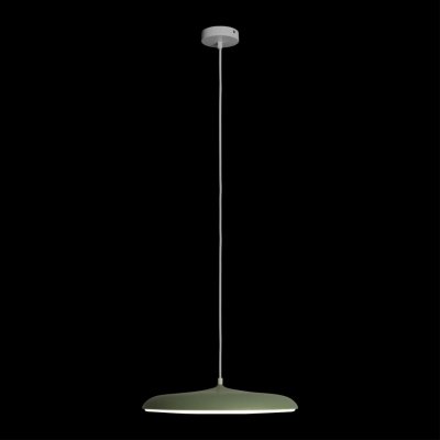 

Подвесной светильник Loft it 10119 Green Plato, 10119 Green