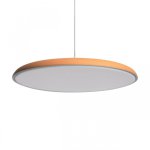 Подвесной светильник Loft it 10119 Orange Plato