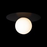 Потолочный светильник Loft it 10120/250C Black Ufo