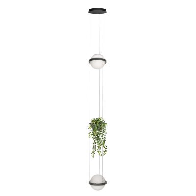 10121/2P Dark grey Подвесной светильник LOFT IT Jardin 10121/2P Dark grey Подвесной светильник LOFT IT Jardin