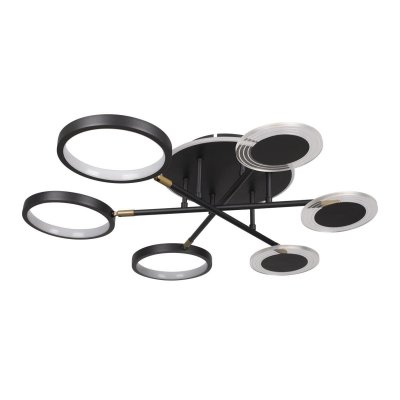 Потолочные светильники Loft it 10164S Black Megan