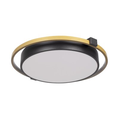 Потолочные светильники Loft it 10170 Mike