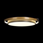 Потолочные светильники Loft it 10170 Mike