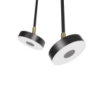 Потолочные светильники Loft it 10189/1000 Flock