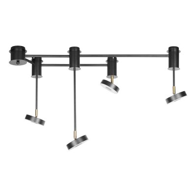 Потолочные светильники Loft it 10189/1000 Flock