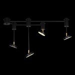 Потолочные светильники Loft it 10189/1200 Flock