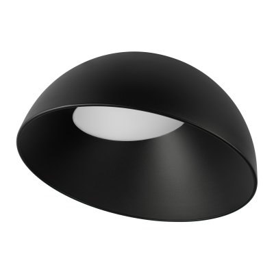 10197/500 BB  Потолочный светильник  LOFT IT Egg