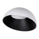 10197/500 WB  Потолочный светильник  LOFT IT Egg