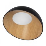 Потолочный светильник Loft it 10197/500 Black Egg